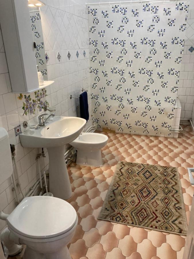 Irina Apartments Piteşti Dış mekan fotoğraf